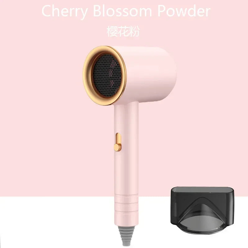 Professional Hair Dryer